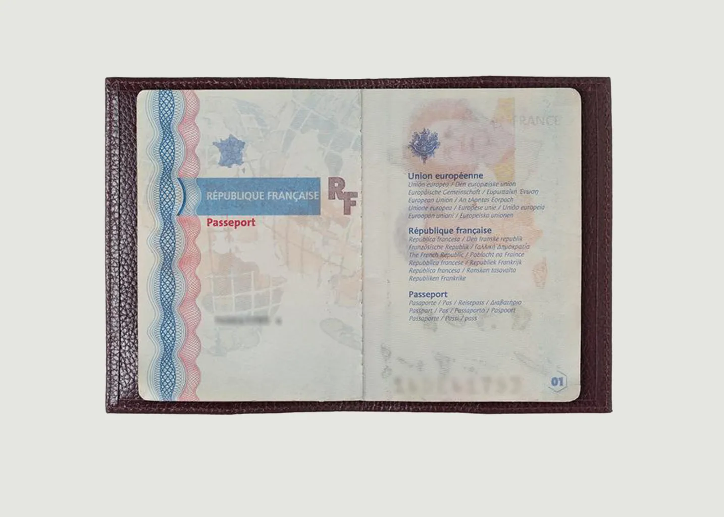 Porte Passeport Louis Larmorie
