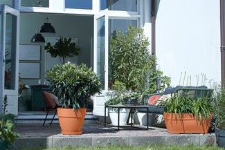 Elho plantenschotel Loft Urban terracotta D 13,9 H 1,8 cm