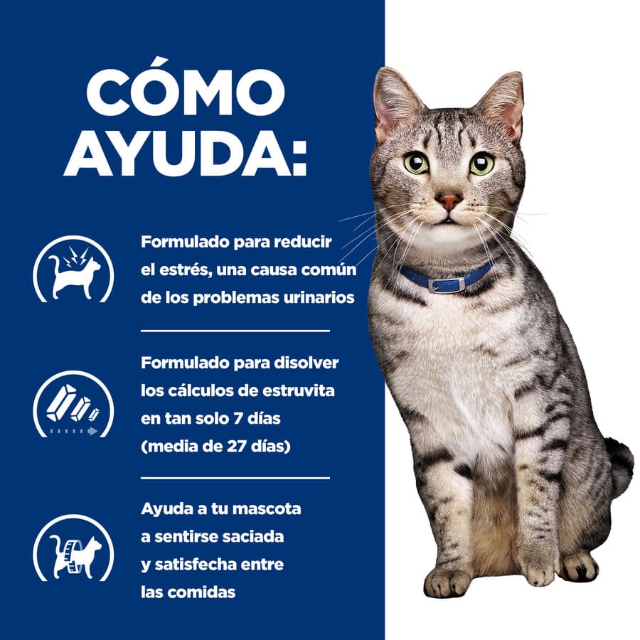 Hill's Prescription Diet Urinary Stress + Metabolic c/d pienso para gatos