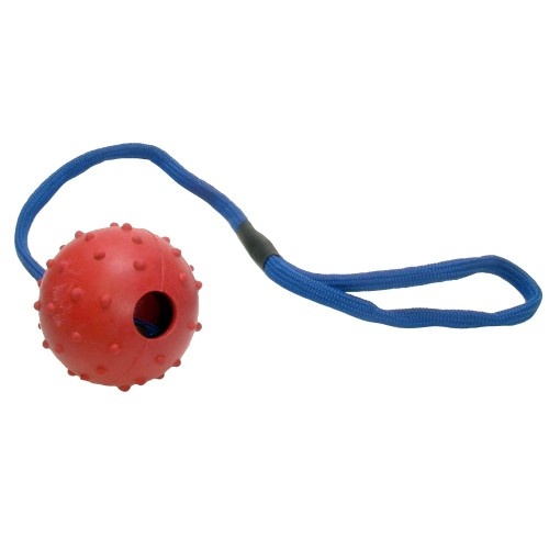 Bola Good Boy com Corda para Cães, Várias Cores