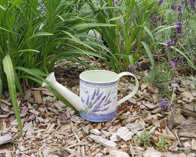 Ambiente Haus Giesskanne »Lavendel-Giesskanne klein«