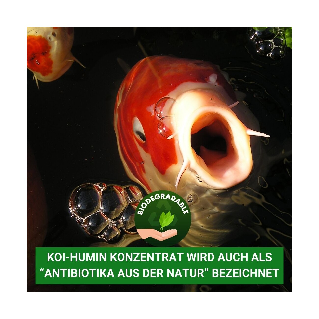 Aqua-Cereal KOI-HUMIN Konzentrat 0,5Liter