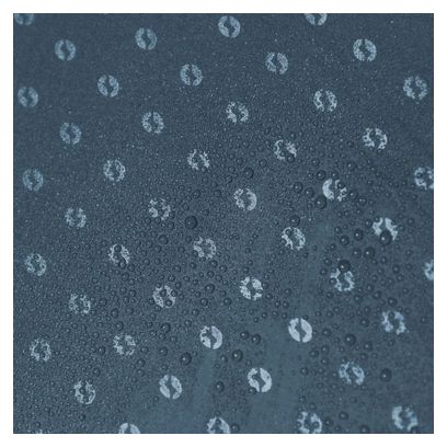 Outwell Tente tunnel Springwood 4SG 4 personnes 2 pièces bleu