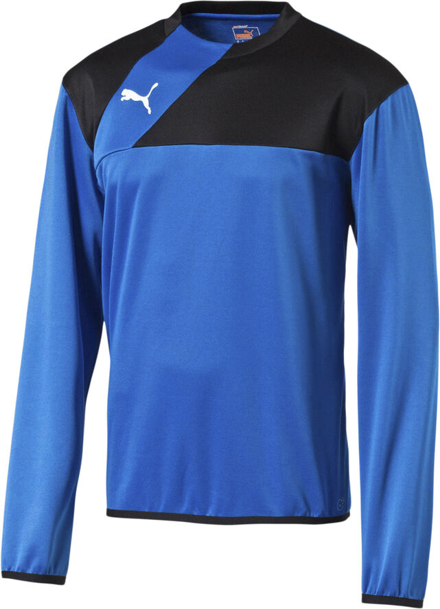 Puma Esquadra Sweatshirt Blå