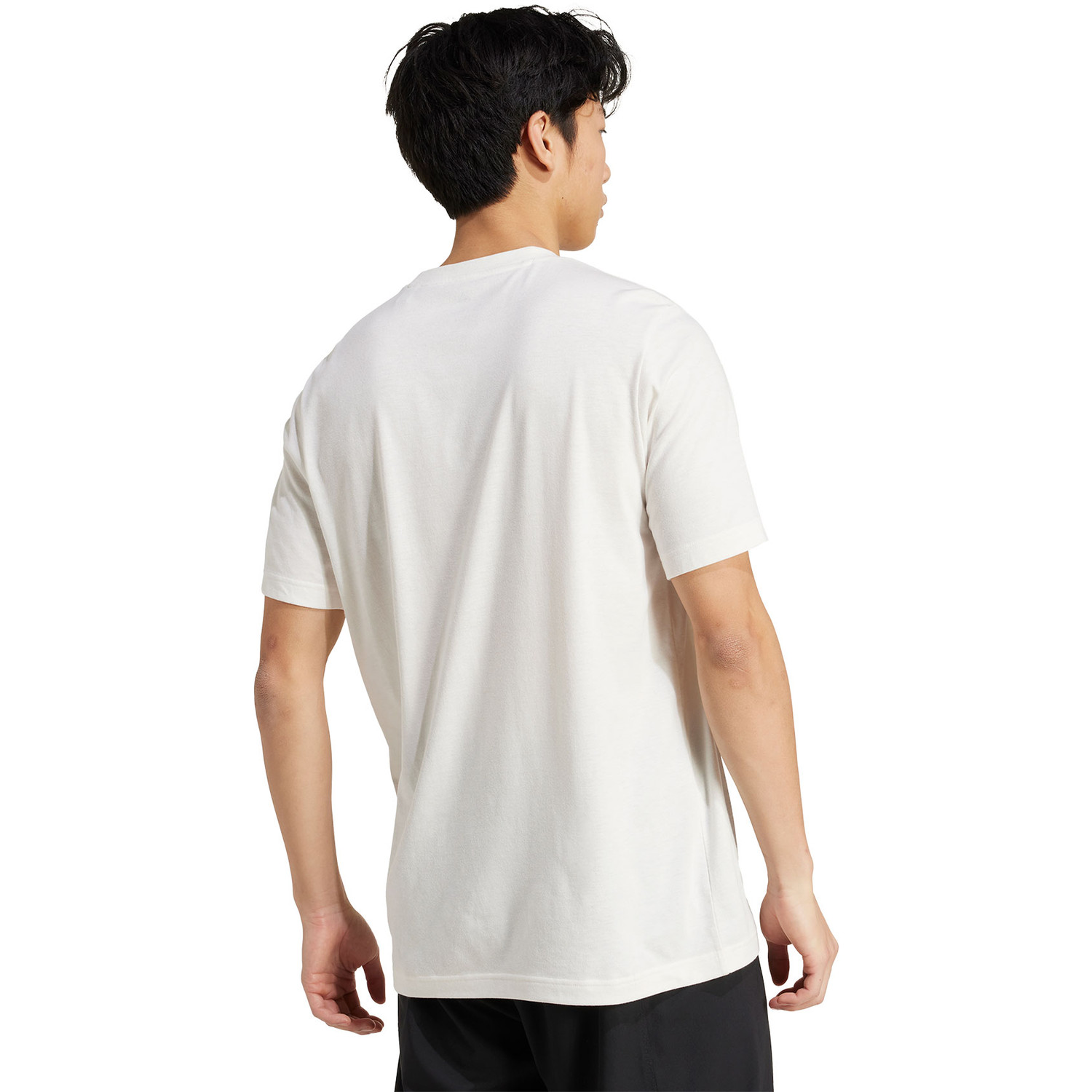 adidas Heritage Graphic Tee