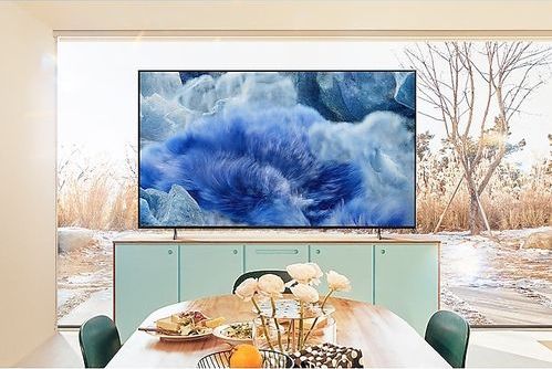 Samsung Q8F QE65Q8FAAU 165,1 cm (65