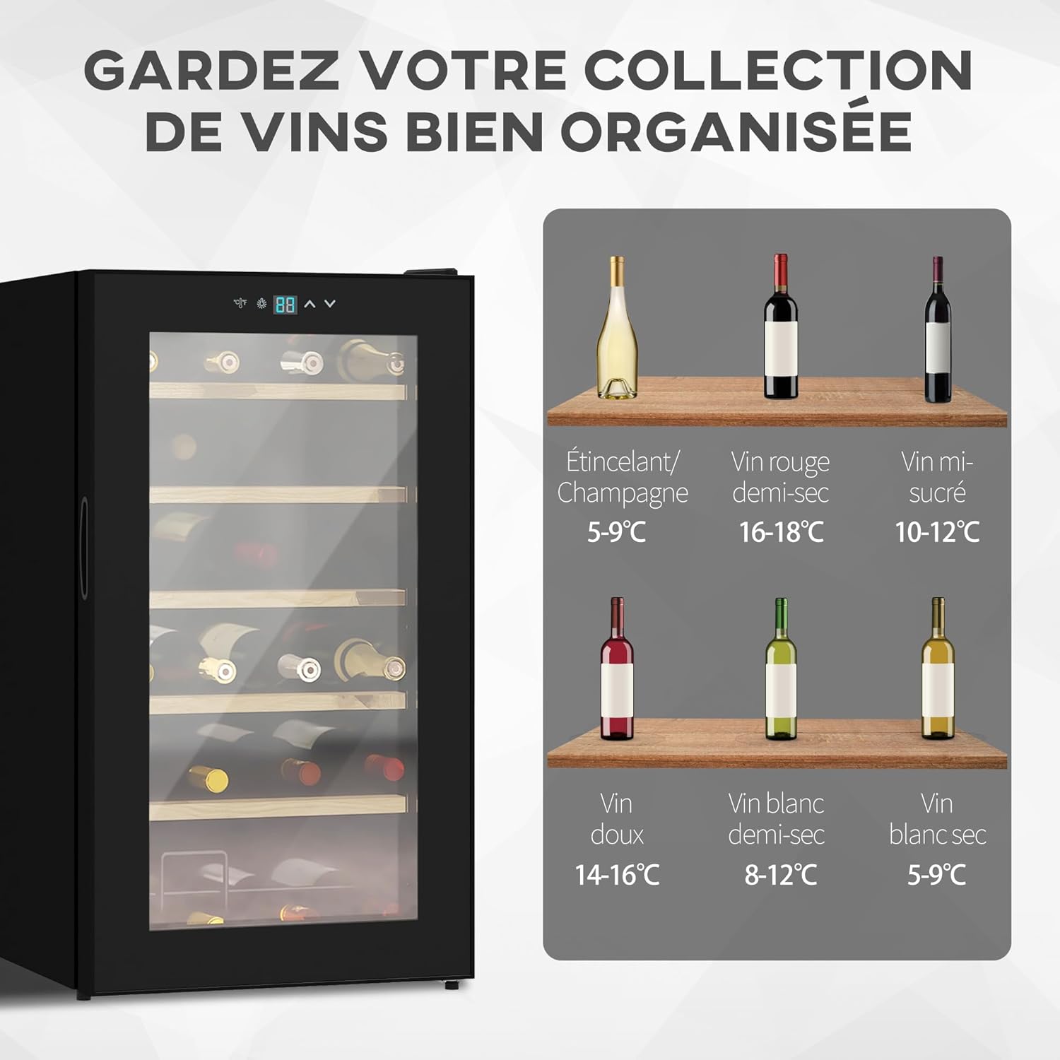 HOMCOM Cave à Vin 24 Bouteilles 65L, Haute Performance, Température Réglable 5-20° avec Éclairage LED, Panneau de Commande Tactile, 41dB Noir
