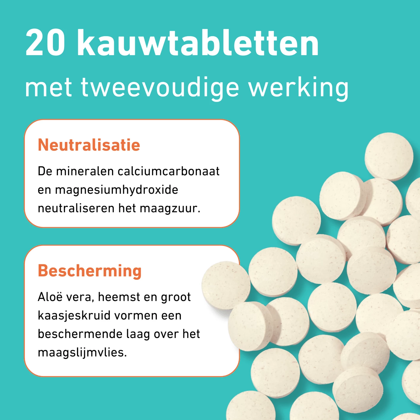 Purasana Pura-Acid Pro (20 kauwtabletten)