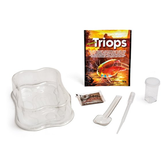 Mini Triops