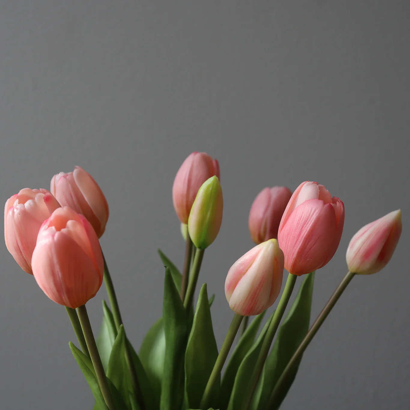 Botané  Small Tulip buket - Light Pink