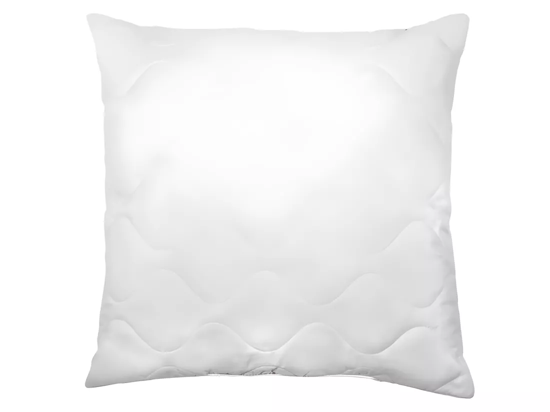 ABEIL Lot de 2 Oreillers a memoire de forme matelasses 60x60 cm blanc