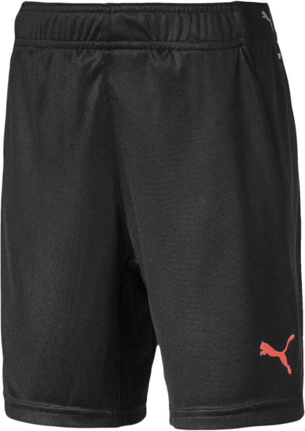 Puma ftblNXT Shorts Sort