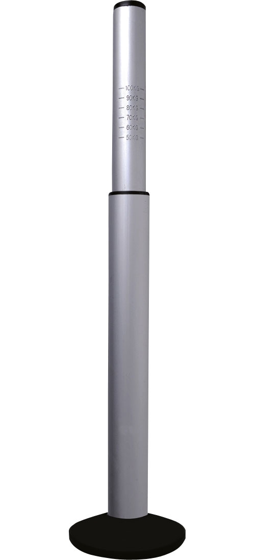 ProPlus Deichselwaage mit Standplatte