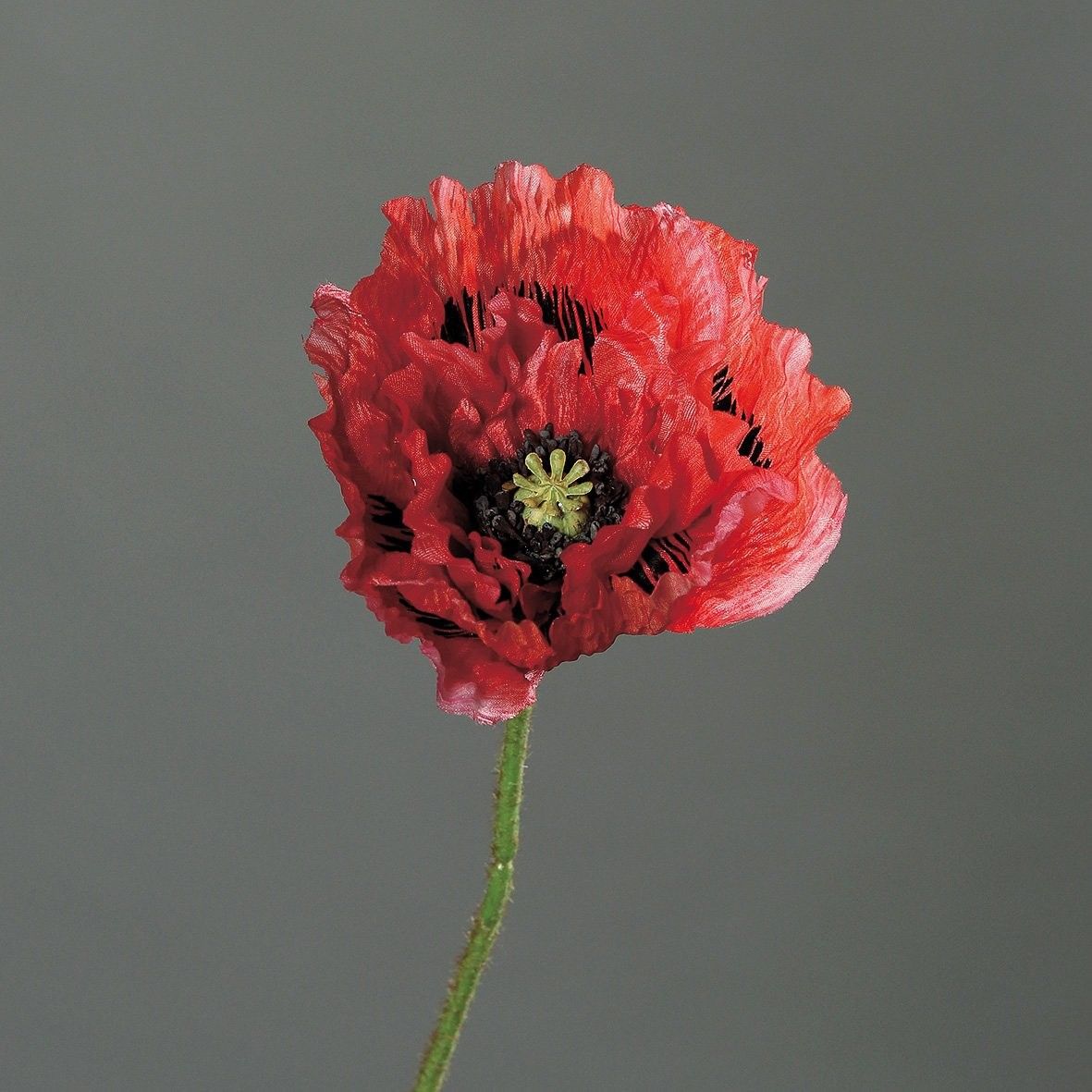 Kunstblume MOHN