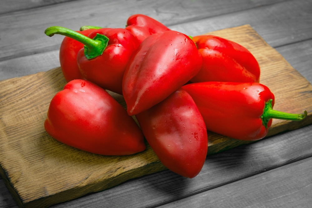 Jardin dans le sac - bio - poivron - red marconi - 20 graines - capsicum annuum
