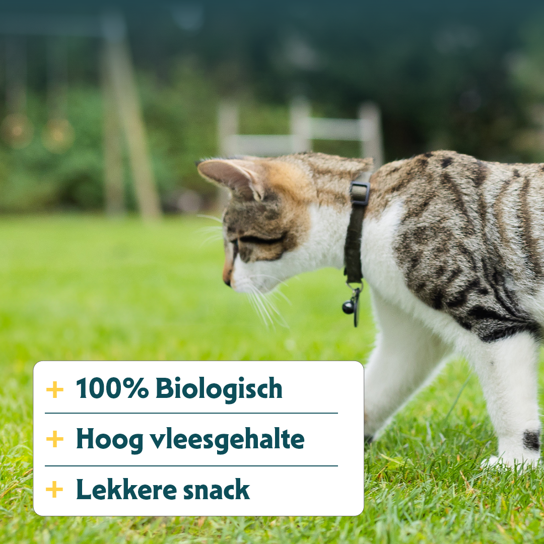 Yarrah - Kattensnack Chew Stick met Vis Bio