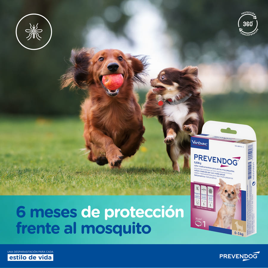 Coleira antiparasitária Virbac Prevendog para cães de pequeno porte.