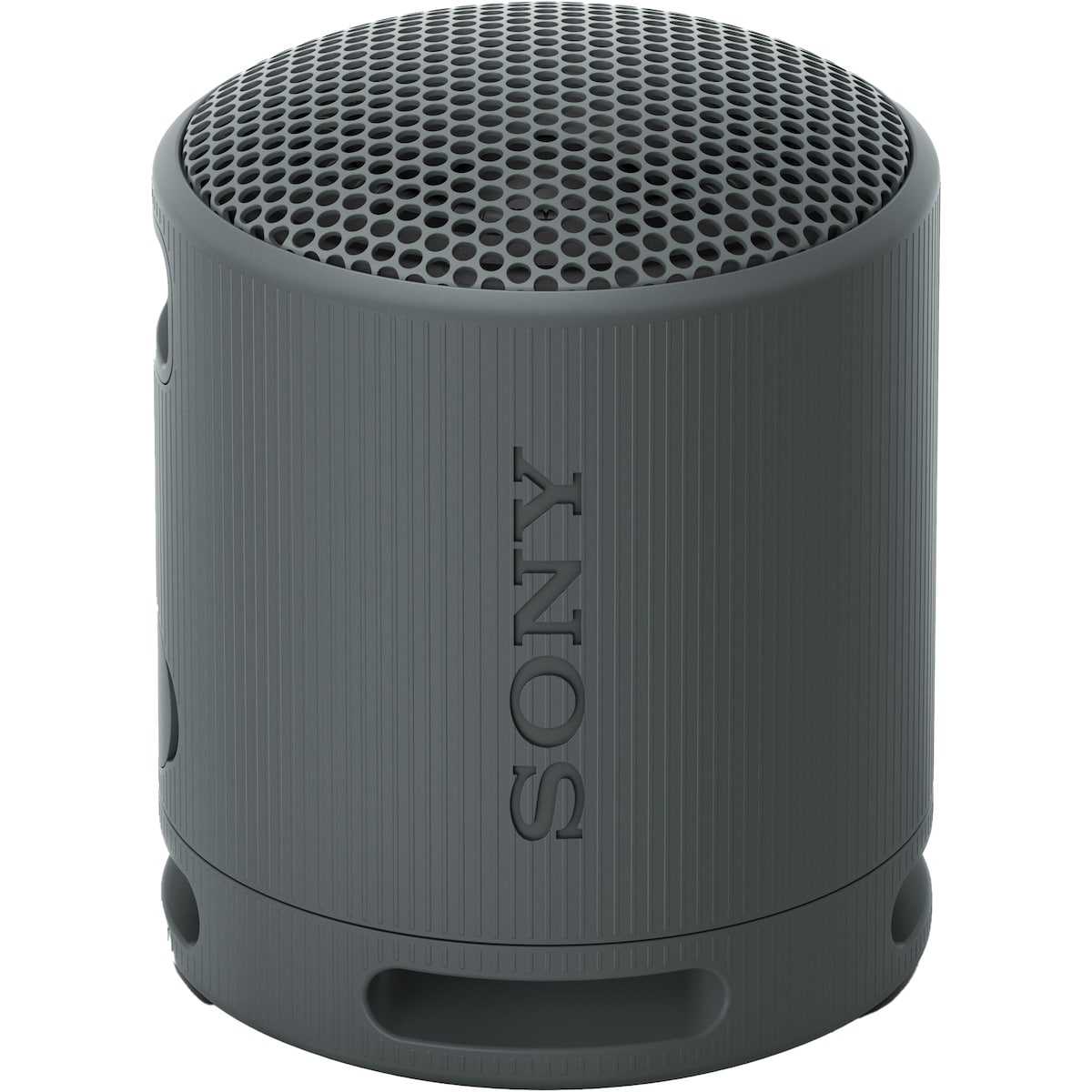 Sony SRS-XB100 bærbar trådløs høyttaler (sort)
