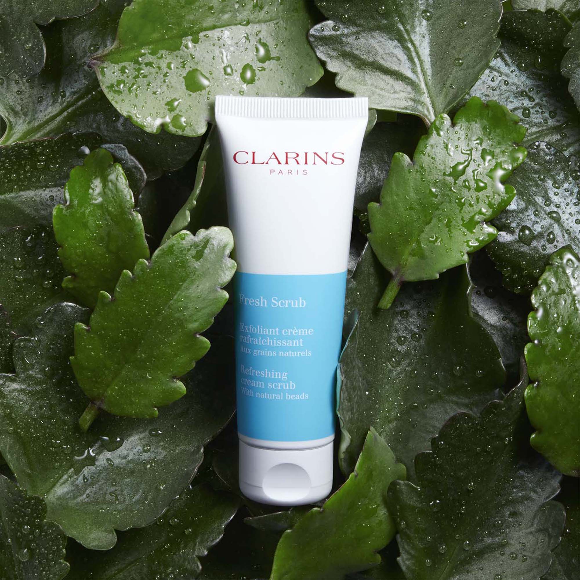 Fresh Scrub Exfoliant crème rafraîchissant aux grains naturels |