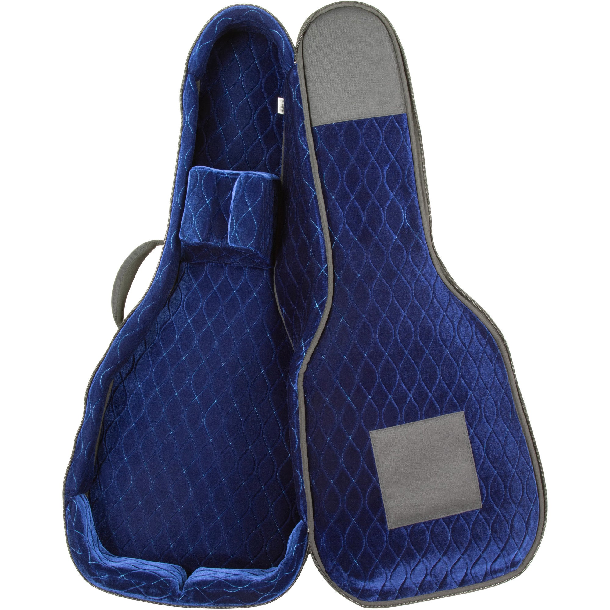 Reunion Blues RBX-A2 RBX Acoustic Dreadnought gigbag voor akoestische westerngitaar