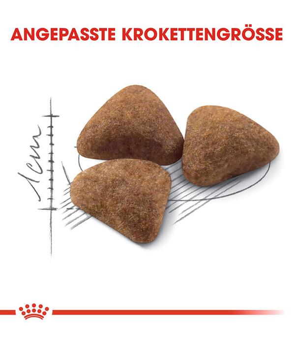 ROYAL CANIN® Trockenfutter für Katzen Indoor