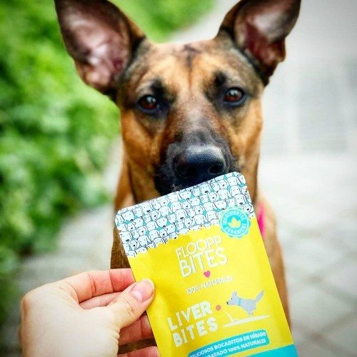 Pacote de petiscos FlooppBITES 100% naturais, pedaços de fígado para cães.