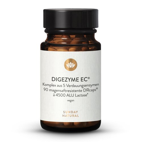 Sunday Natural Products  DIGEZYME EC ®