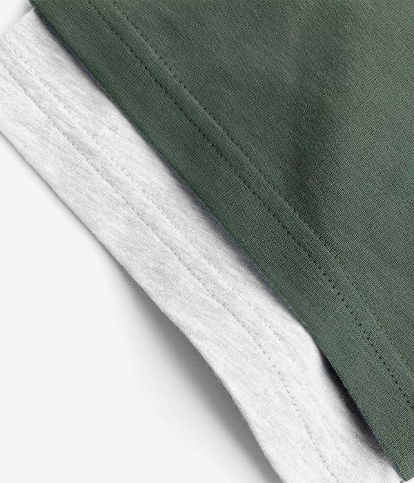 Wasted Paris T-Nine Wire T-Shirt (lichen green ash grey)