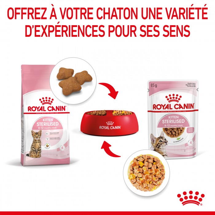Royal Canin Kitten Sterilised