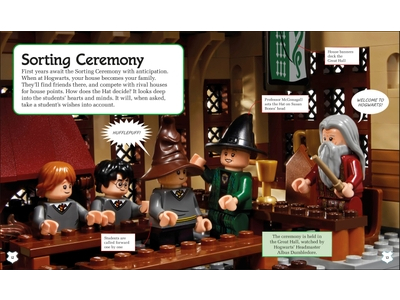 LEGO A Spellbinding Guide to Hogwarts™ Houses (5007615)
