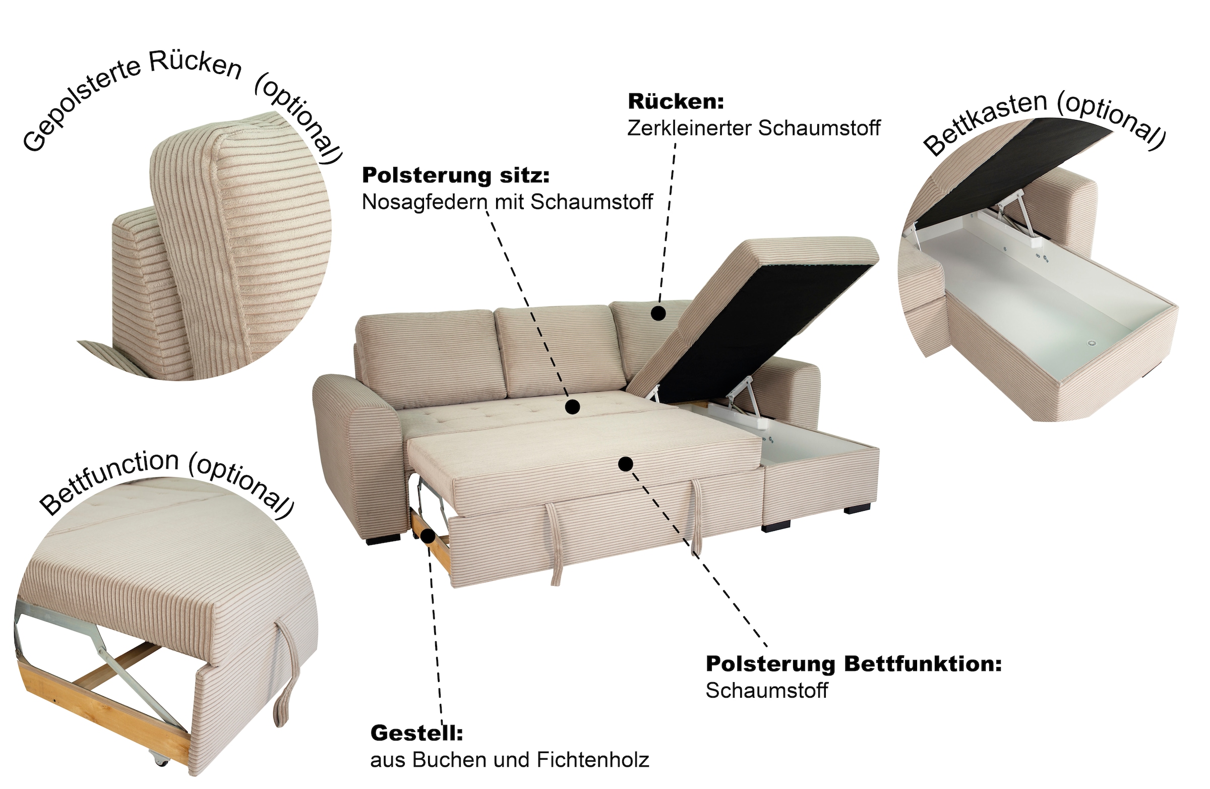 Trends by HG Ecksofa »Poll L-Form, B: 245 cm« mit Bettfunktion & Bettkasten
