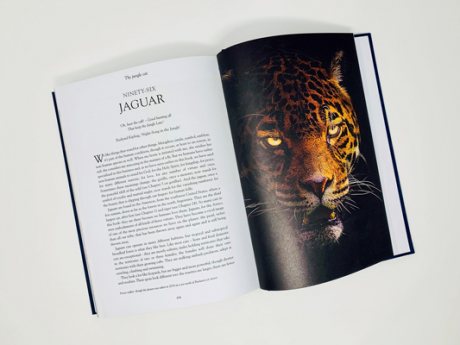 History of the World in 100 Animals (Hardback)