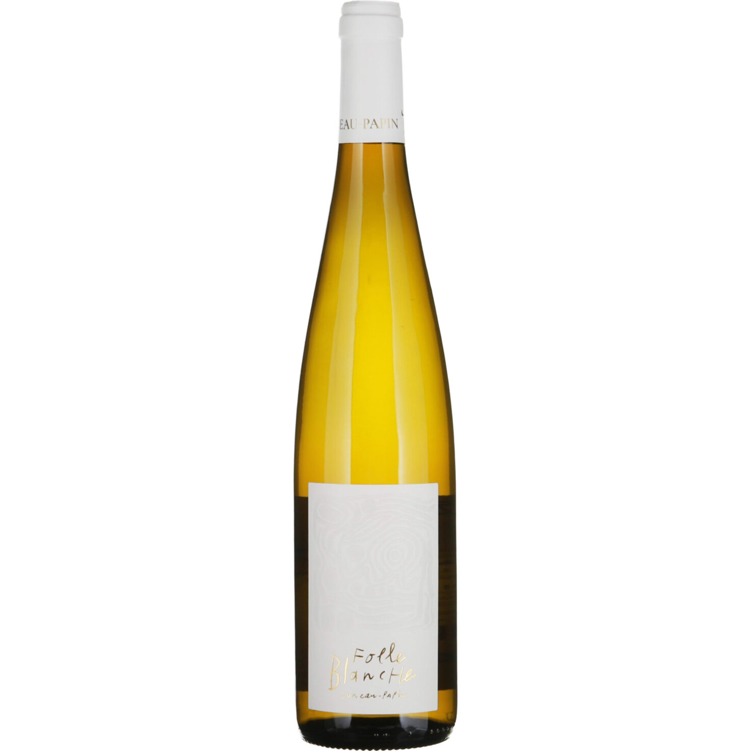 Loire Gros Plant du Pays Nantais Folle Blanche Luneau-Papin -75cl