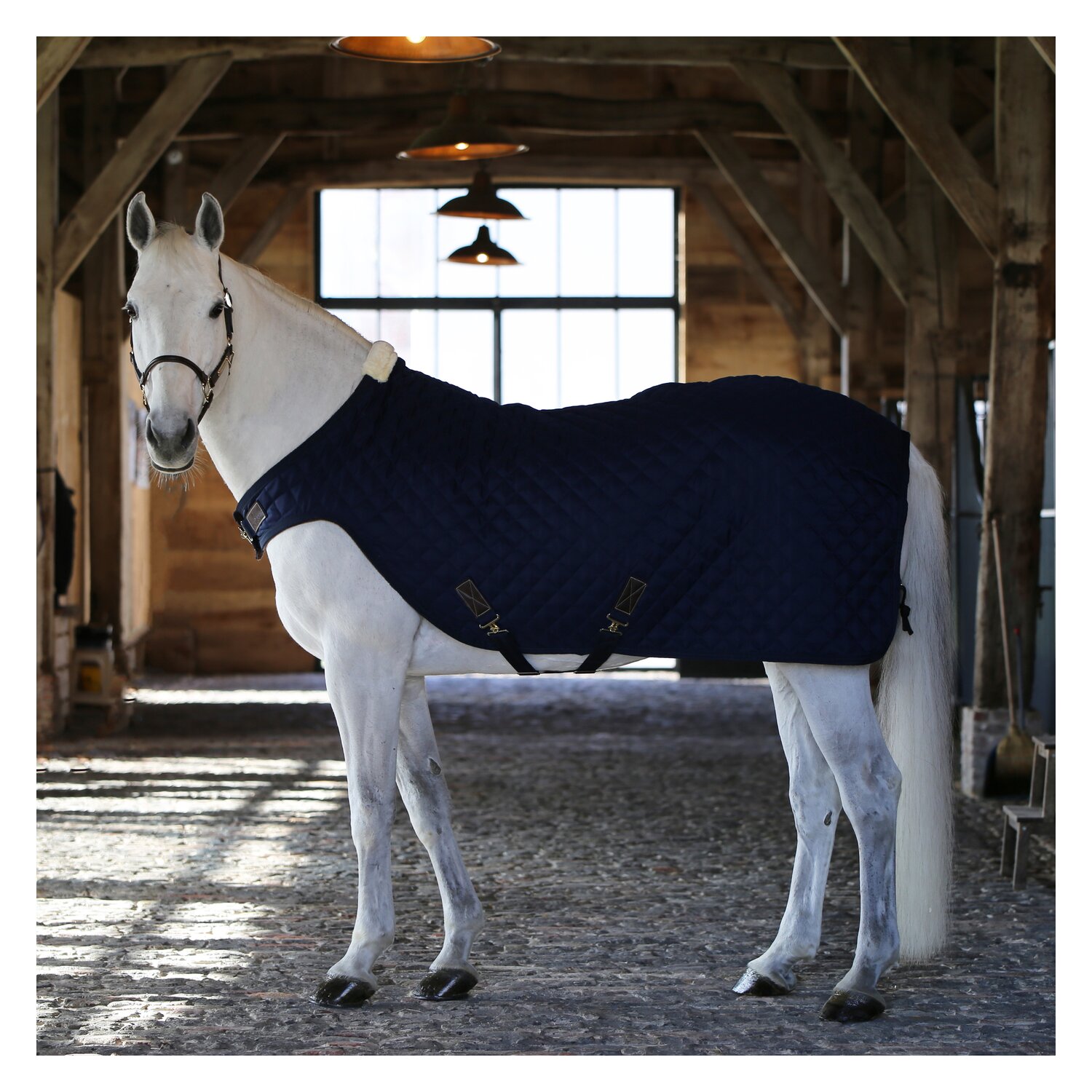 KENTUCKY Führanlagendecke Walker Rug 160 g - navy