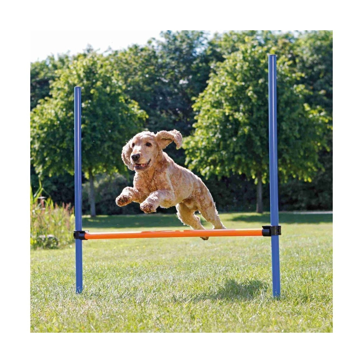 Agilityhekk for hundeaktivitet, plast, 123 × 115 cm, ø 3 cm, blå/oransje