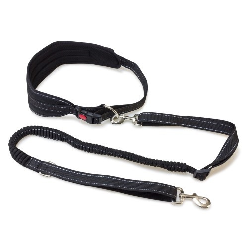 Cinto preto para cães com guia