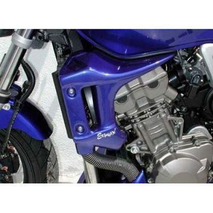 Ecope de radiateur Ermax - Bleu