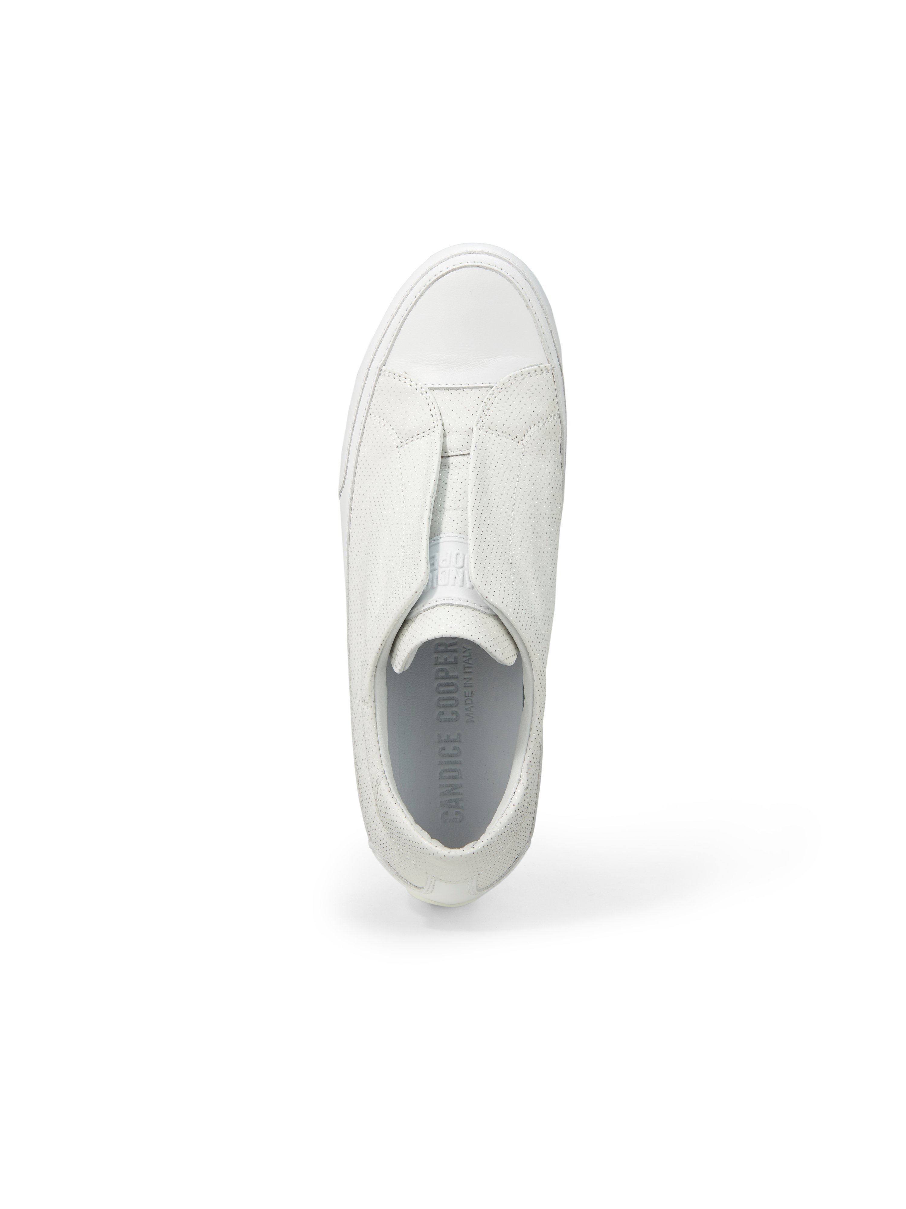Sneaker Paloma