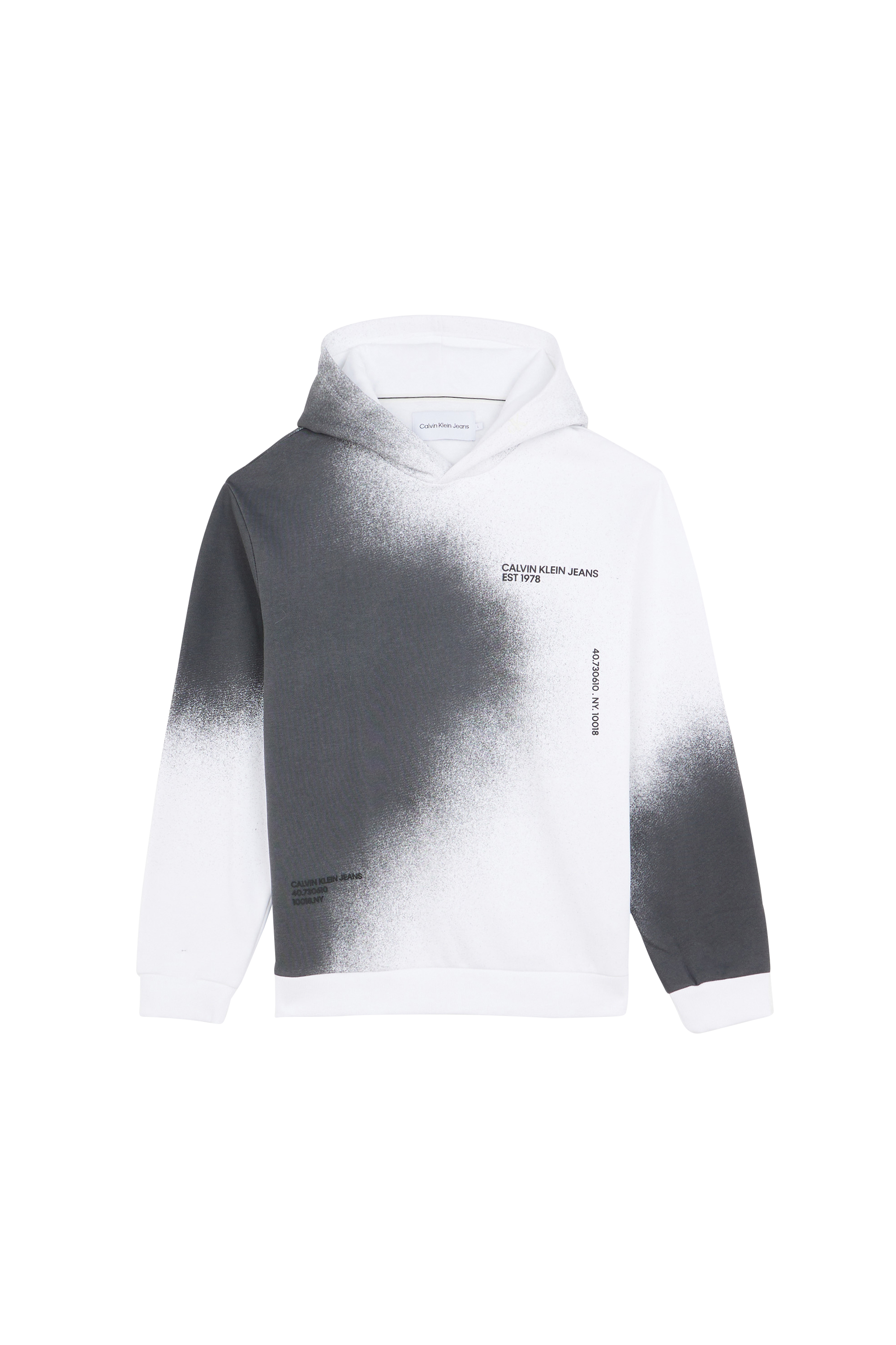 CALVIN KLEIN JEANS Hoodie SPRAY AOP HOODIE Multicolore