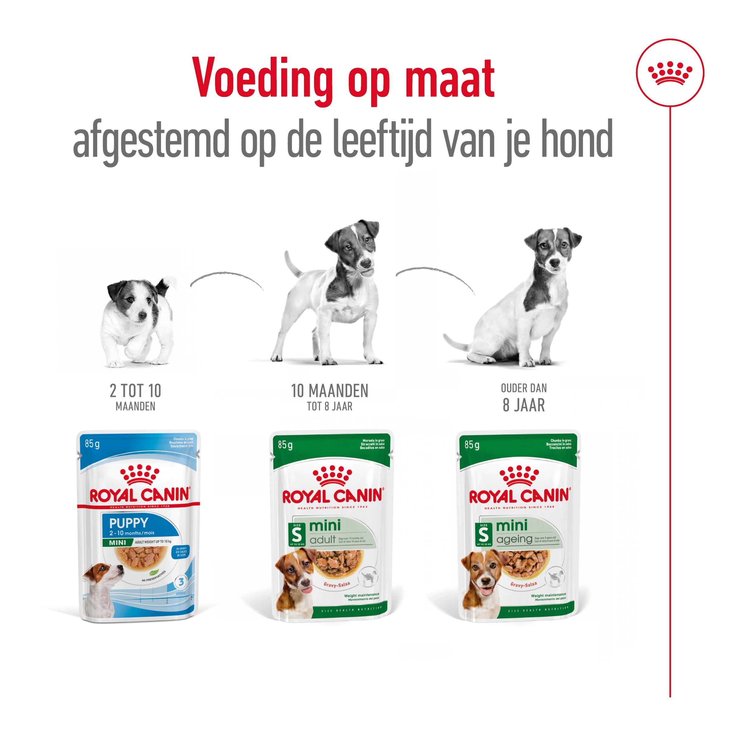 Royal Canin Mini Ageing 8 Wet - Hondenvoer