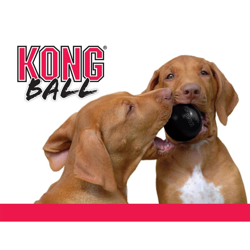 Balle KONG Extreme
