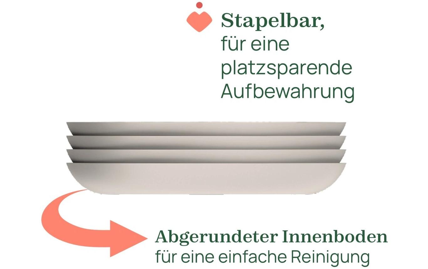 Kinderteller Grau, 18M+Teller mit Unterteilungen