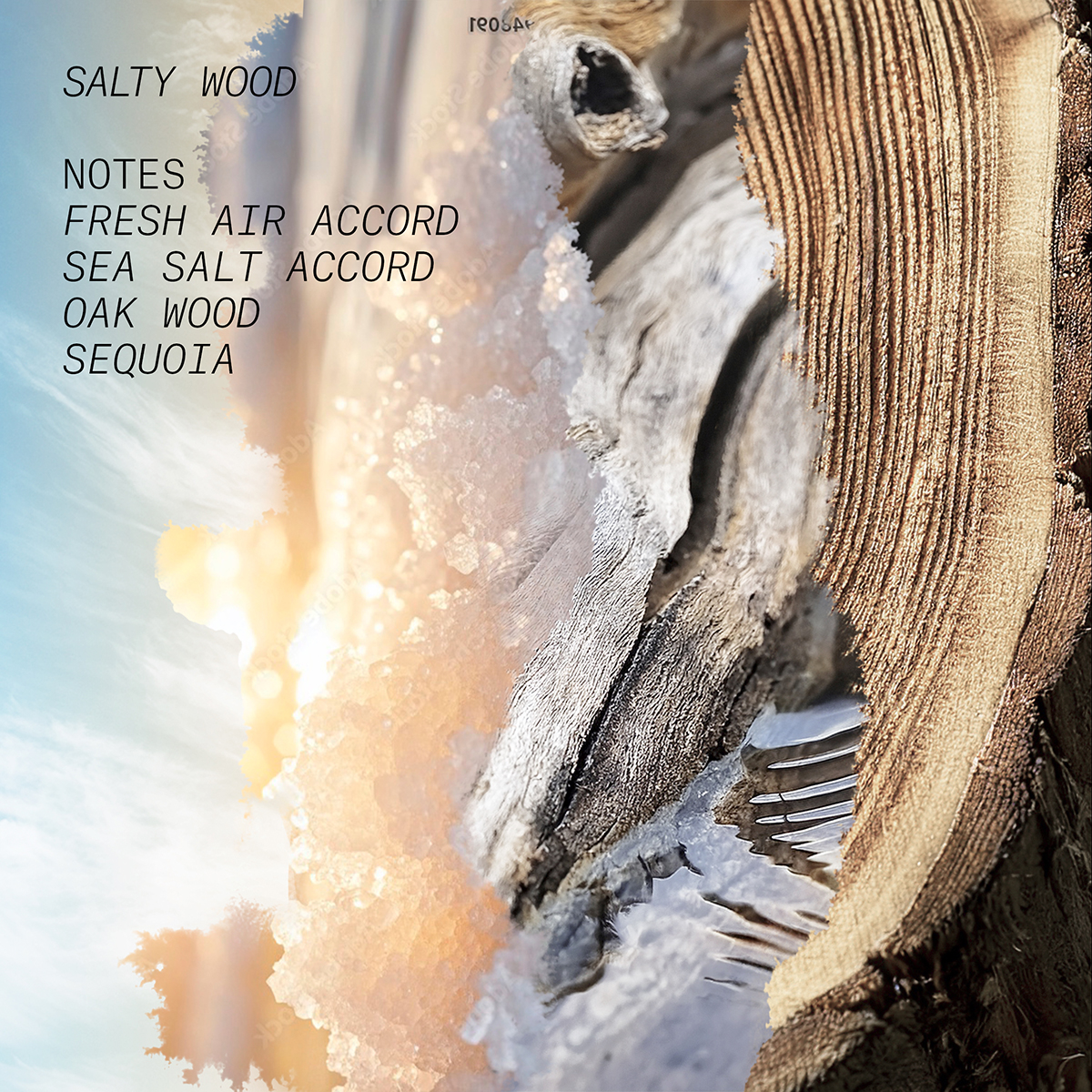 Salty Wood Eau de Parfum 100ml