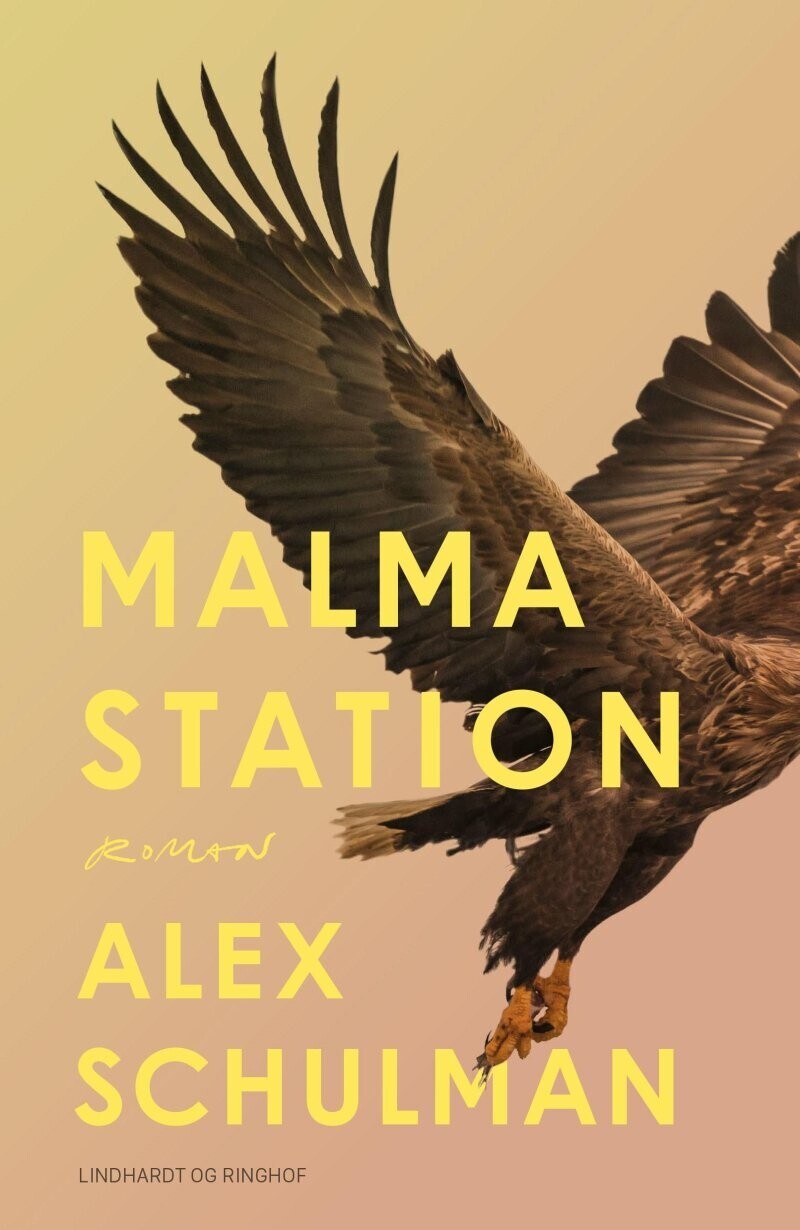 Malma Station - Alex Schulman - Bog