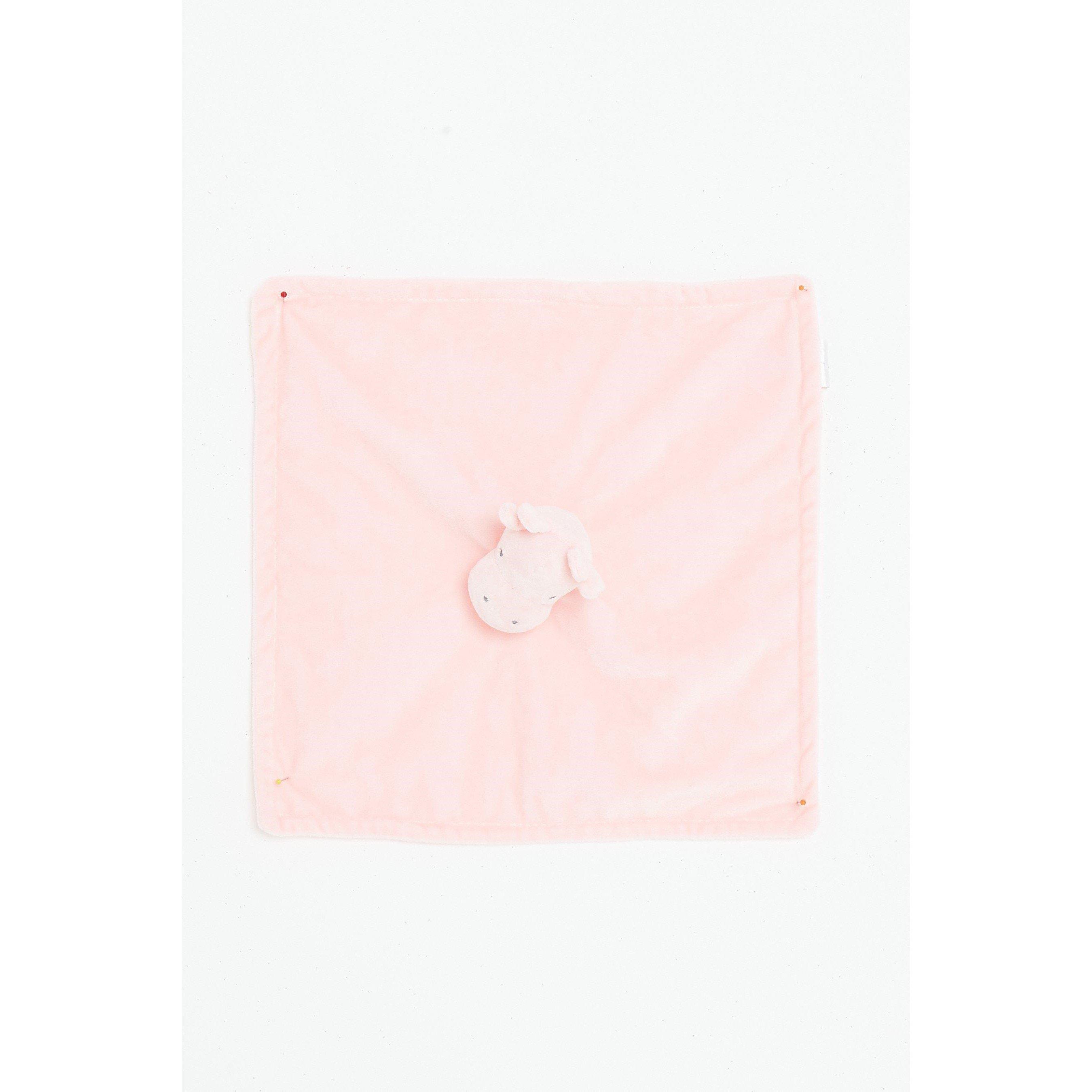Hello World Baby Girls 2024 Sleepsuit and Comforter