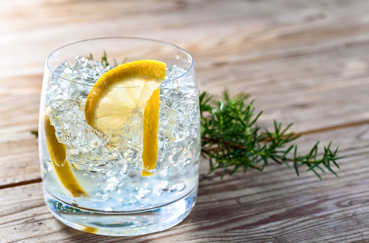 Gin Tasting Stuttgart