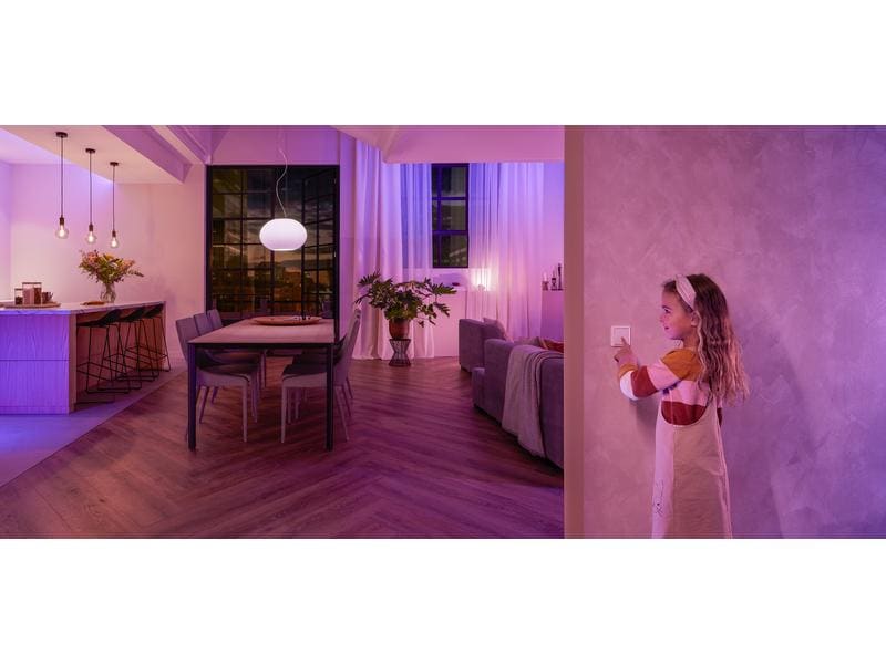 Philips Hue Zubehör Wandschalter Modul Doppelpack Wandschalter Modul für Hue Lichtsysteme