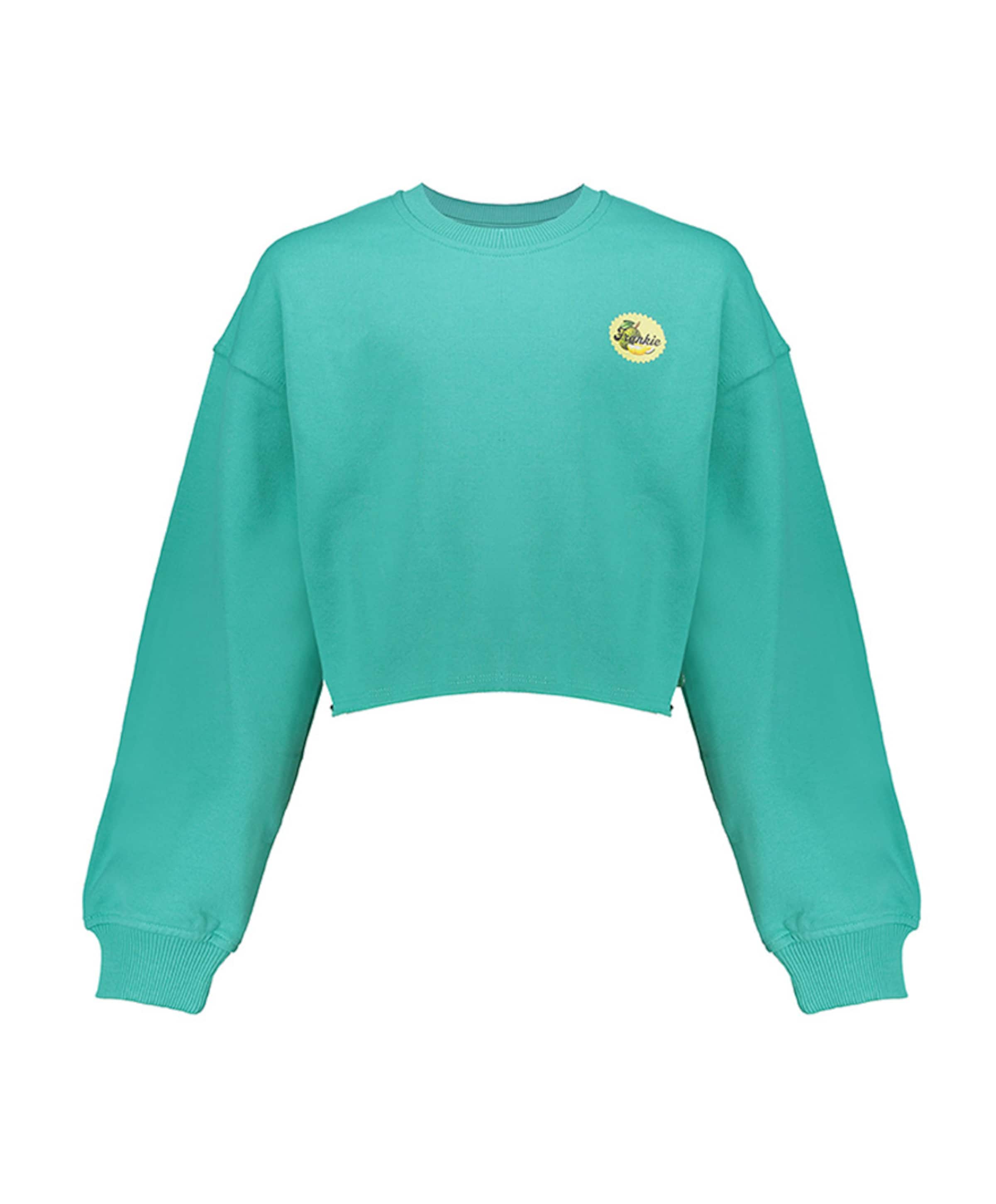 Frankie & Liberty Meisjes sweater groen