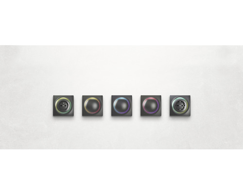 Fibaro Walli dimmer met repeaterfunctie voor bestaande verlichting, zwart - Compatibel met SMART HOME van hornbach