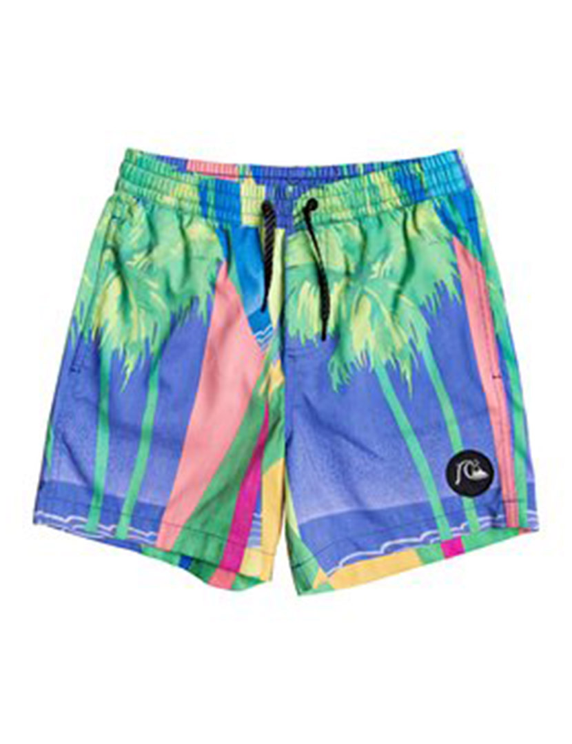 Boys' Multicolored Swim Shorts